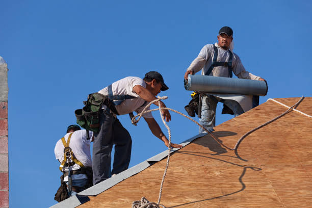 Best Gutter Installation and Roofing  in Brecksville, OH